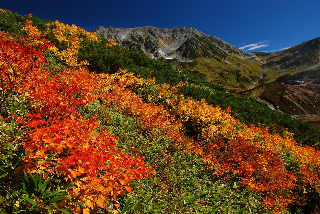 توياما Tateyama Kogen Hotel المظهر الخارجي الصورة