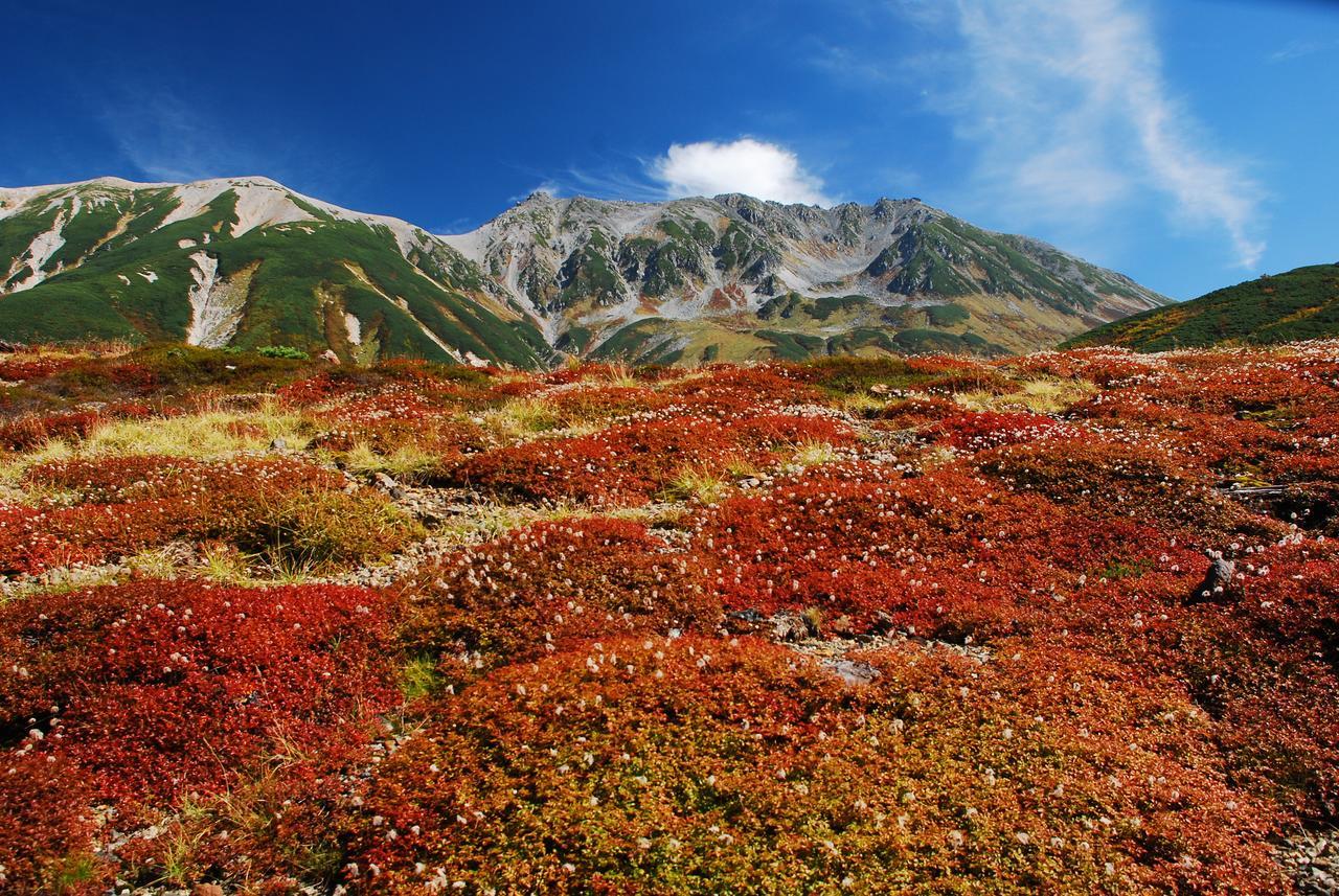 توياما Tateyama Kogen Hotel المظهر الخارجي الصورة