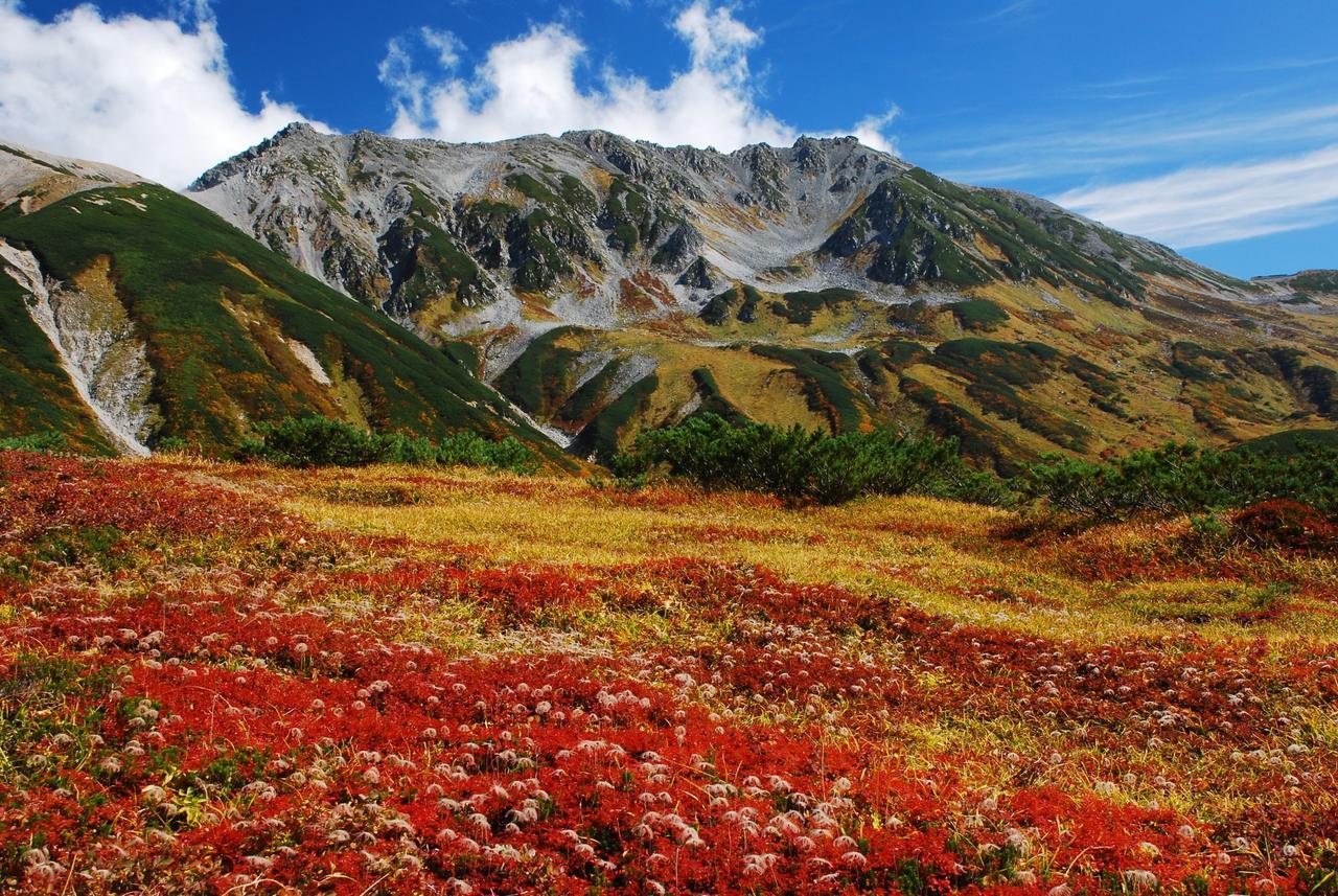 توياما Tateyama Kogen Hotel المظهر الخارجي الصورة